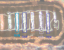 V30 Pro.png