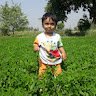 Gsm Tahir