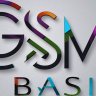 gsmbasi811