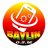 baylin gsm