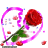 rkbhunia