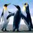 kazim_151