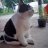 khoihuynh1368@gmail.