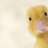 duckmaster