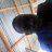Lonwabo