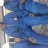 mofokeng