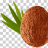 Don_kokoz