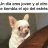 luis_nseries