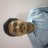 vivekengineer9@gmail