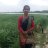 ha masud