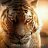 sandeepkr8780837538