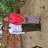 minchitthu.2ec@gmail