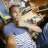 kingserge00