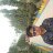 Bipult
