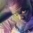 lemar1122