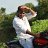 milindmobile