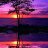 Mohamedrashed
