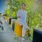 gulab 2023
