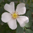 irfan_44