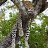 manyeu0169