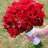 kennedy_rizky