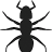 Hormiga