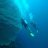 diver1968-