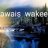 awaiswakeel