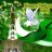 m.hussain