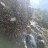 ffahad1