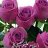 aaqash11