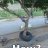 mubashir37405