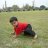 sabir saleem