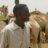 mohasiw